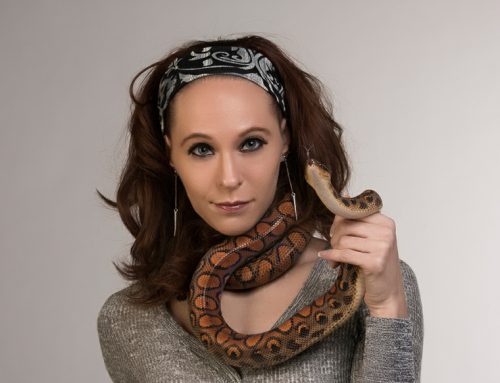 Now offering a new service:  Reptiles for Photography and Modeling Shoots