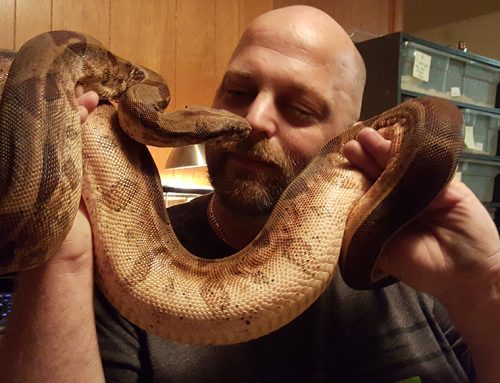 New Year’s Resolution: Finally Get Over My Fear Of Snakes!