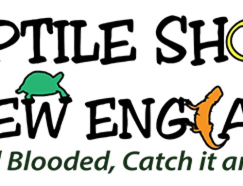We Have Changed Our Name!